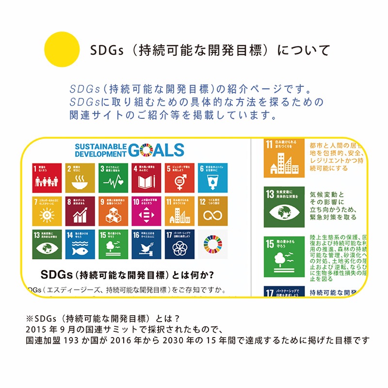 �饤���󥺼�Ģ 2026.7-2027.6