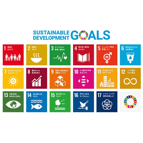 SDGs フラットバッジ　マグネットタイプ  10個セット 10個セット sdgs バッジ 留め具30個付き 国連最新仕様 25mm 金色