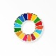 ���å����ԥ��SDGs��25mm