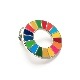 ���å����ԥ��SDGs��25mm
