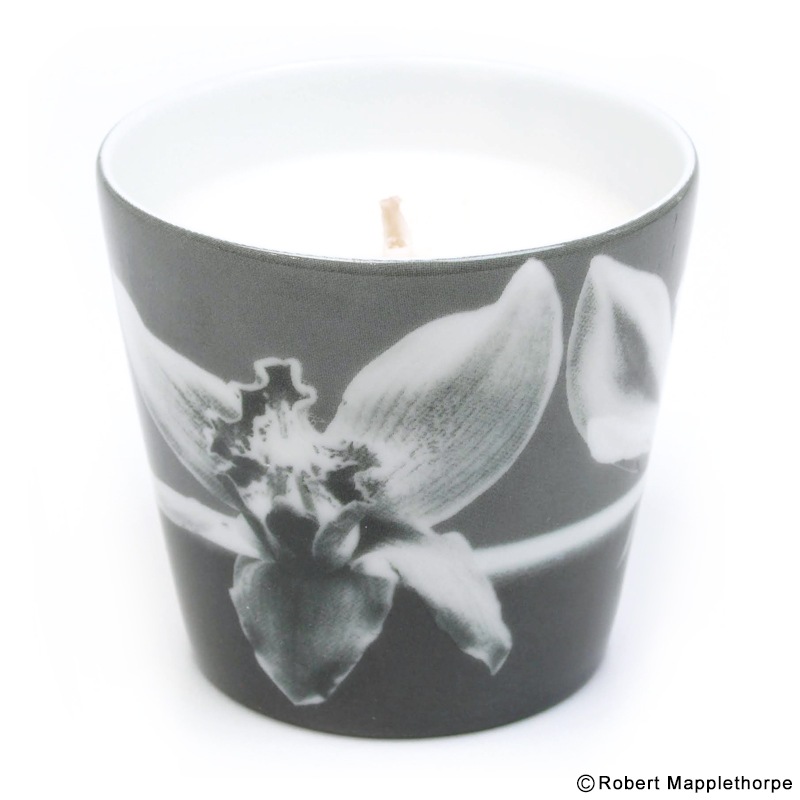 ロバート・メイプルソープ パヒュームキャンドル [Orchid]｜ラムフロム