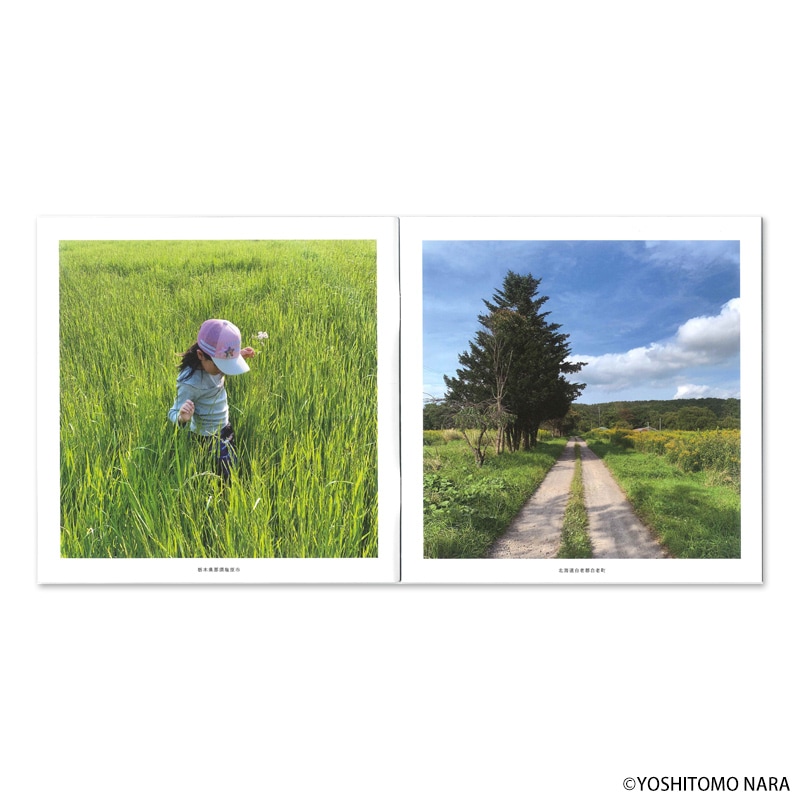 【デジタル】ラピュタフランス版、奈良美智ポスター2枚、計3枚セット デジタル】ラピュタフランス版、奈良美智ポスター2枚、計3枚