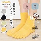 3次元 ロークルー 五本指ソックス S(22-24cm)M(24-26cm)【10537】靴下 レディース 日本製 5本指ソックス