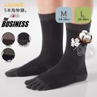 ５本指ソックス　細ボーダーM・L 24-26cm 26-28cm 【8540】