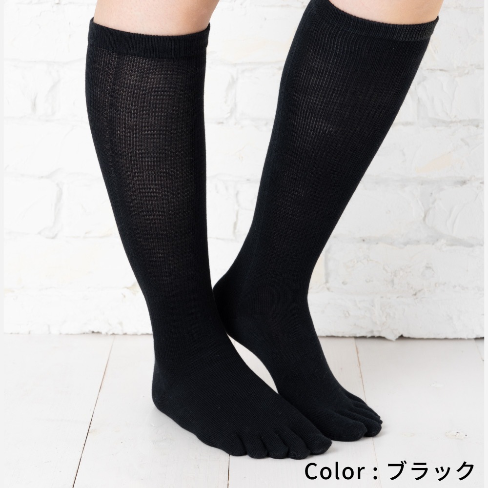 送料無料 ベーシック ハイソックス 同色同サイズ3足組 【102543p】 XS/S/M