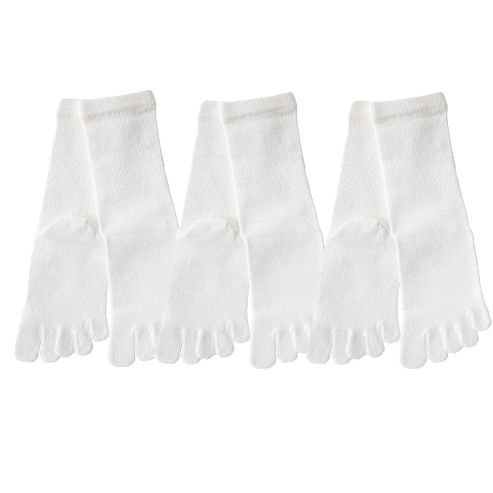 送料無料 ネット限定 ベーシック 同色同サイズ3足組 【10753/10013同一商品】 M/L/LL ネコポス発送