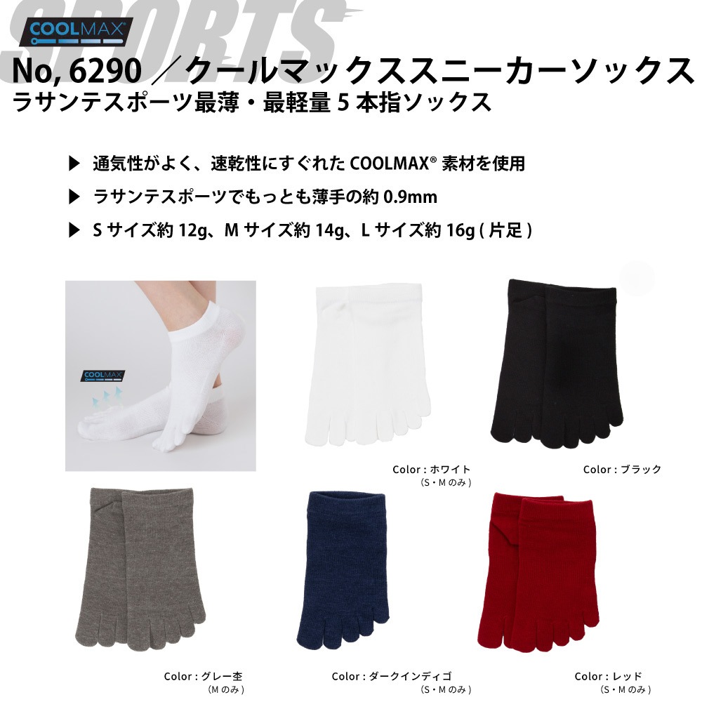 送料無料 カラーが選べるスポーツギフト 3足組 【6290 7240 9430】 L