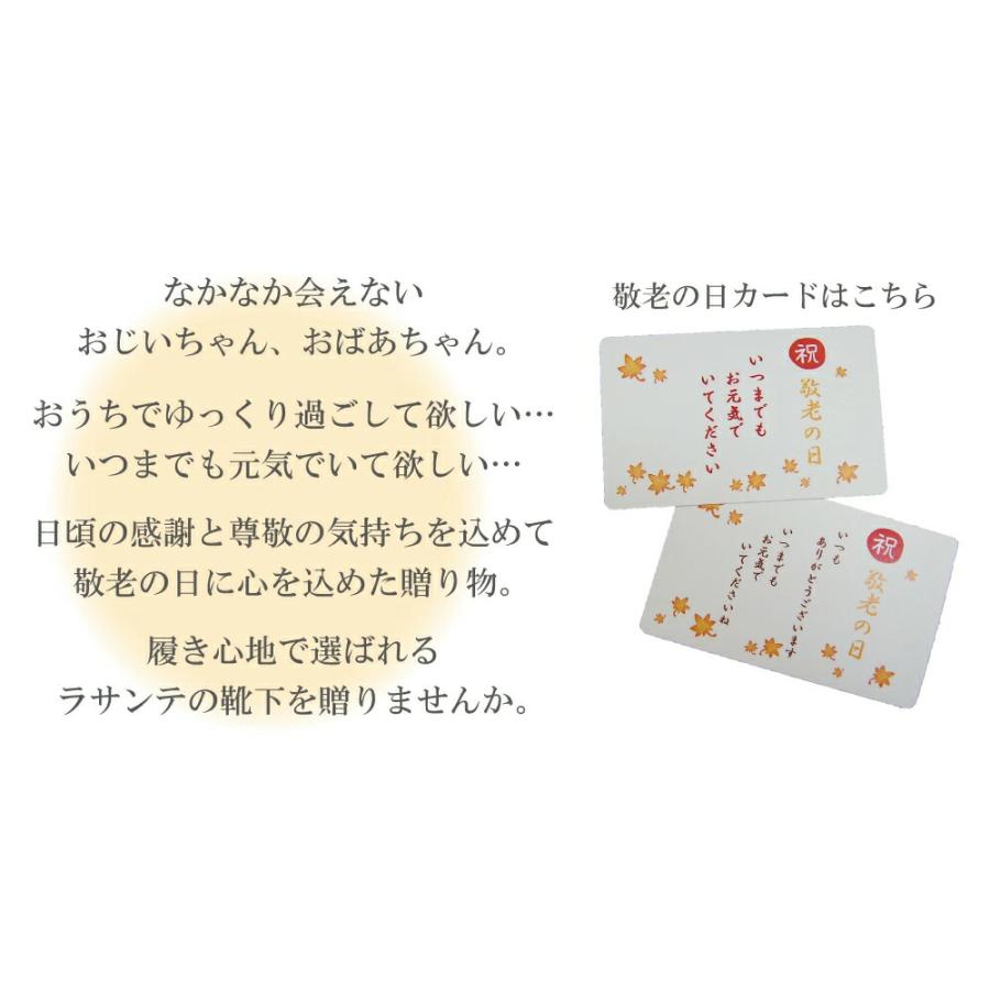 送料無料 カラーが選べるビジネスギフト 3足組  【10013 8590 8540】 M/L