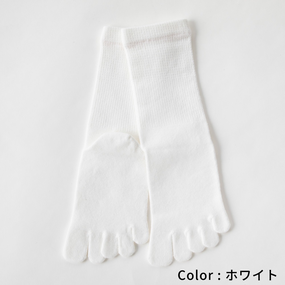 ベーシック 【10013】 XS/S