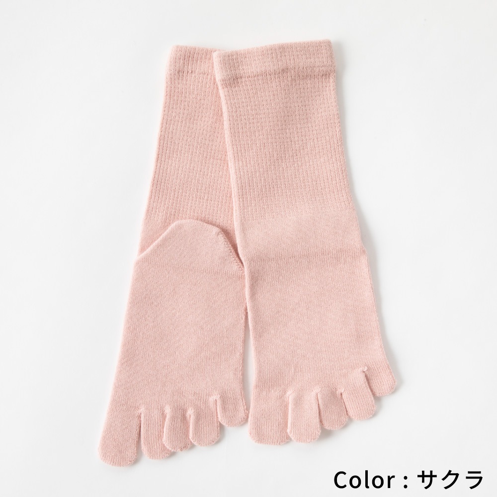 ベーシック 【10013】 XS/S