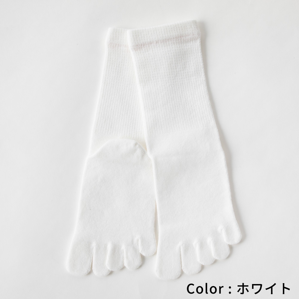 ベーシック 【10013】 M/L/LL