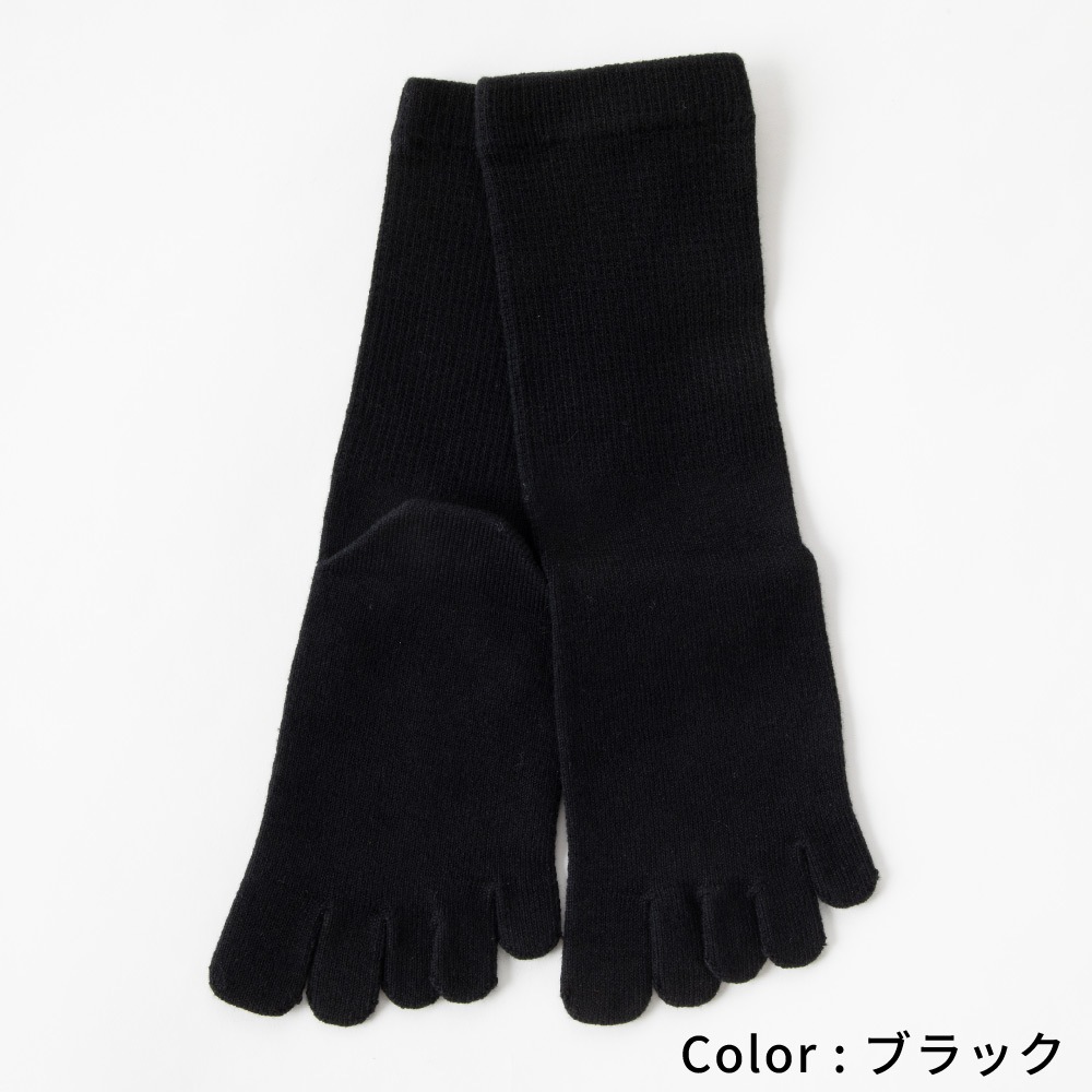 送料無料 ネット限定 ベーシック 同色同サイズ3足組 【10753/10013同一商品】 XS/S/M/L/LL（ネコポス日時指定不可）簡易包装