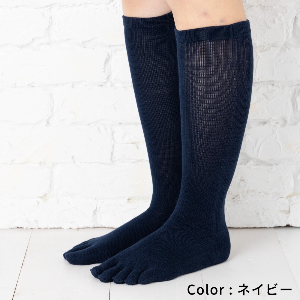 ベーシック ハイソックス 【10254】 XS/S/M | 取扱商品一覧 - 通年商品