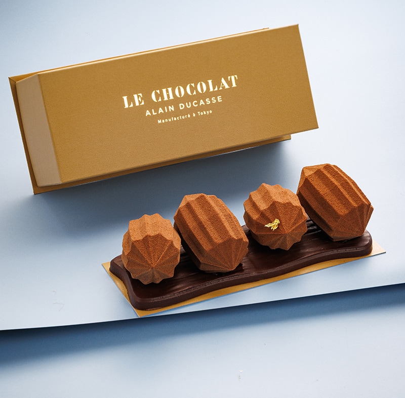 ビュッシュ・カボス｜【公式】チョコレート専門店ル・ショコラ・アラン