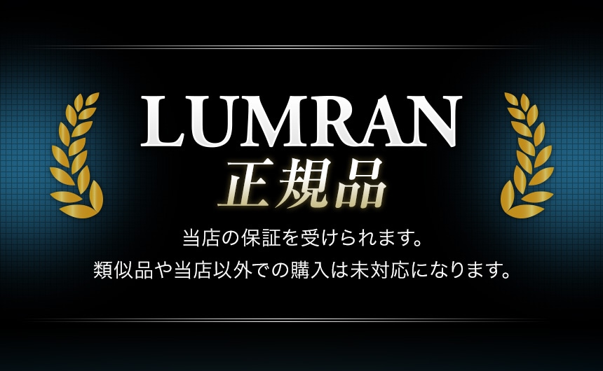 ルムラン LED バックランプ エクストレイル T31 LUMRAN