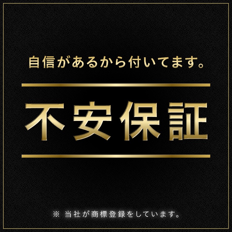 マークX 120系 LEDルームランプセット LUMRAN ルムラン 正規品 