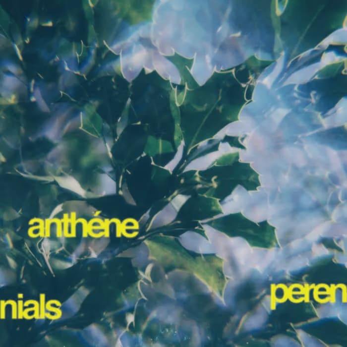 LABEL,P | LINUS RECORDS