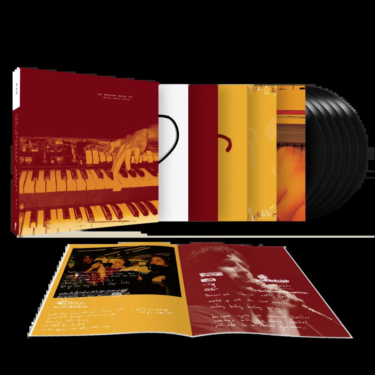 The American Analog Set : Destroy Destroy Destroy (Black Vinyl