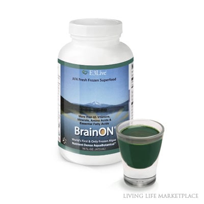 BRAIN ON ブレインオン　定価498,000円　最終値下げ BRAIN ON ブレインオン定価498,000円最終値下げ