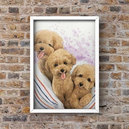 �ڥå�B4��������257 x 364��      3̾��