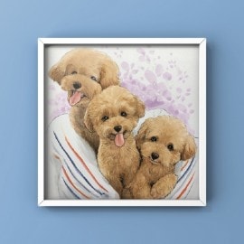 �ڥå� ���極������242x272��3̾��