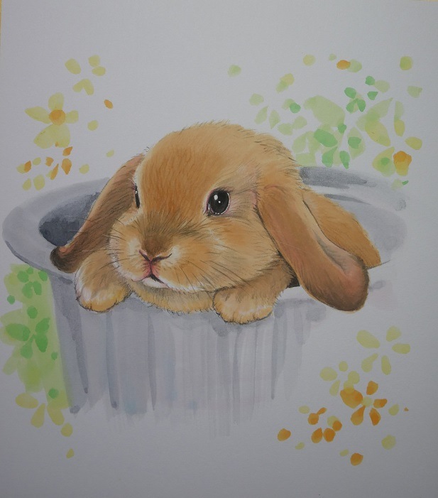 �ڥåȿ��極������242x272��1̾��