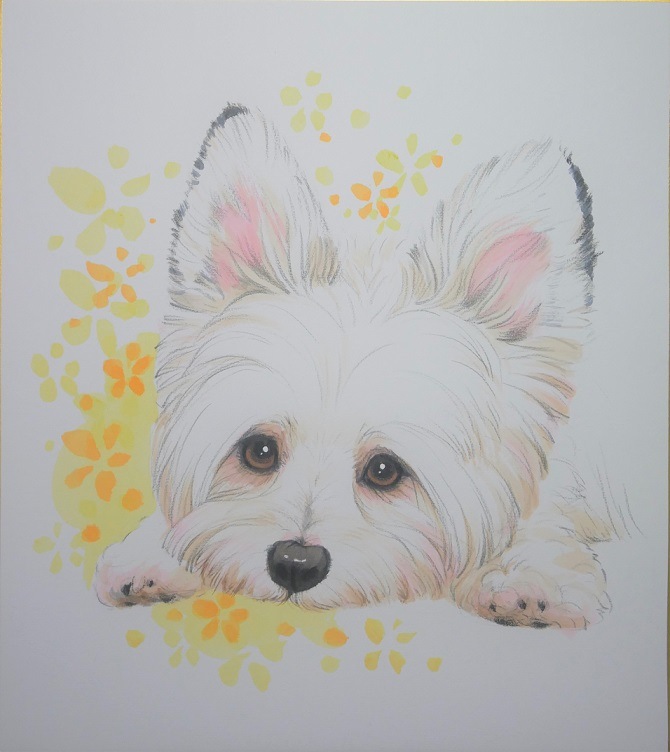 �ڥåȿ��極������242x272��1̾��