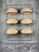 �ޤĤ��������Ƥ�����������!! Ⱦ�̥ɡ���ѡ��ġ�ξ�ޤ֤�3���åȡ� �ޥĥ���������