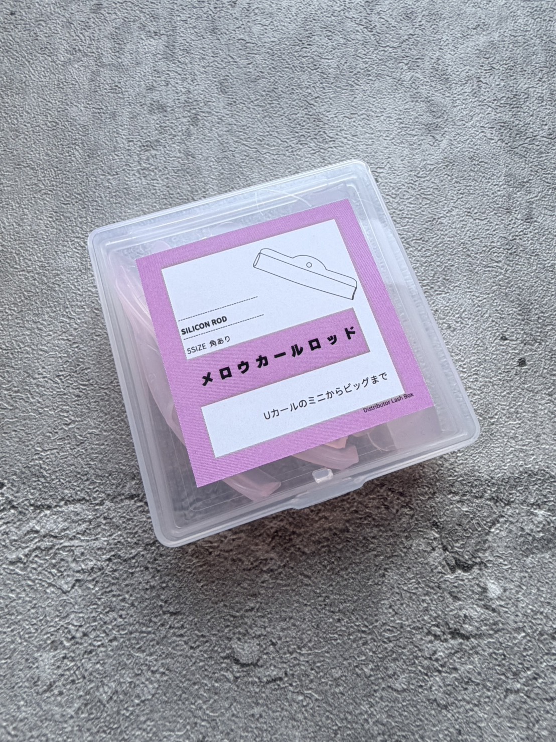 ����������롡�Ѥ��ꡡ5������