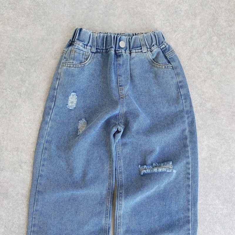 ���᡼�������ߥ磻�ɡ��ǥ˥�