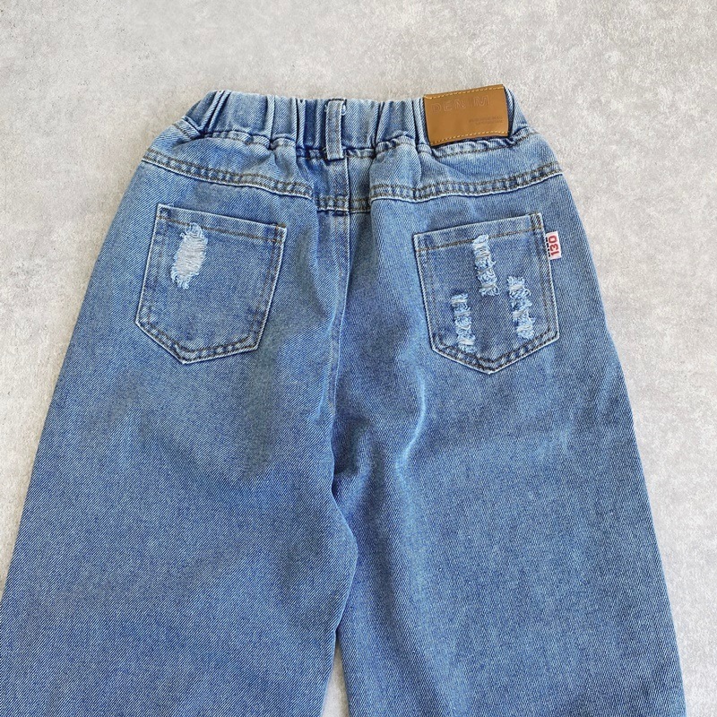 ���᡼�������ߥ磻�ɡ��ǥ˥�