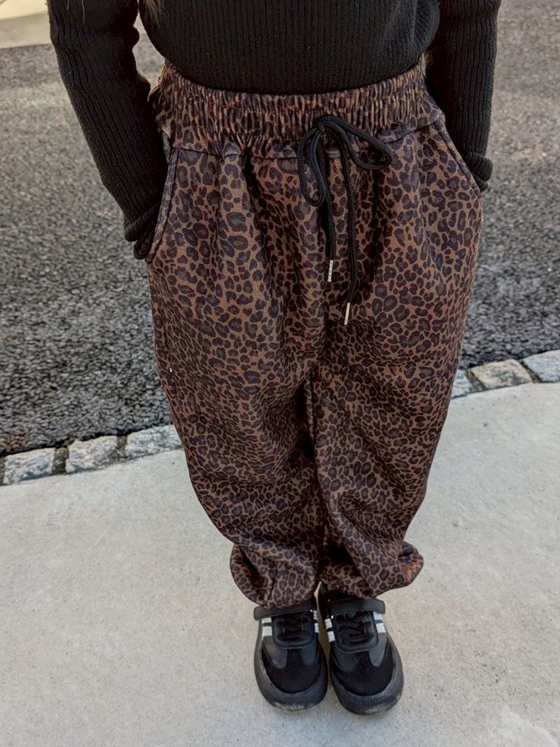 �쥪�ѡ��ɡ����祬���ѥ�ġ�΢���ӡ�