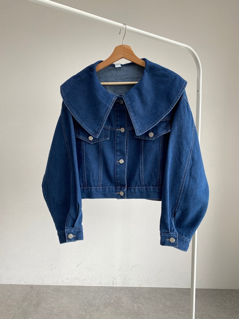 �ӥå����顼�����硼�ȥǥ˥ॸ�㥱�å�