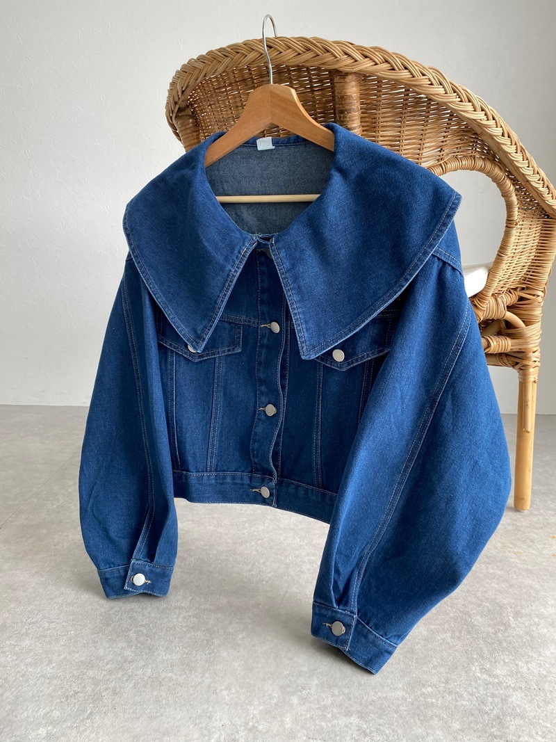 �ӥå����顼�����硼�ȥǥ˥ॸ�㥱�å�