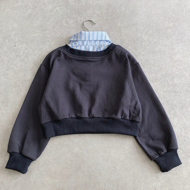 ĥ쥤䡼ɥȥåץߥߥ˥ȡߥͥå