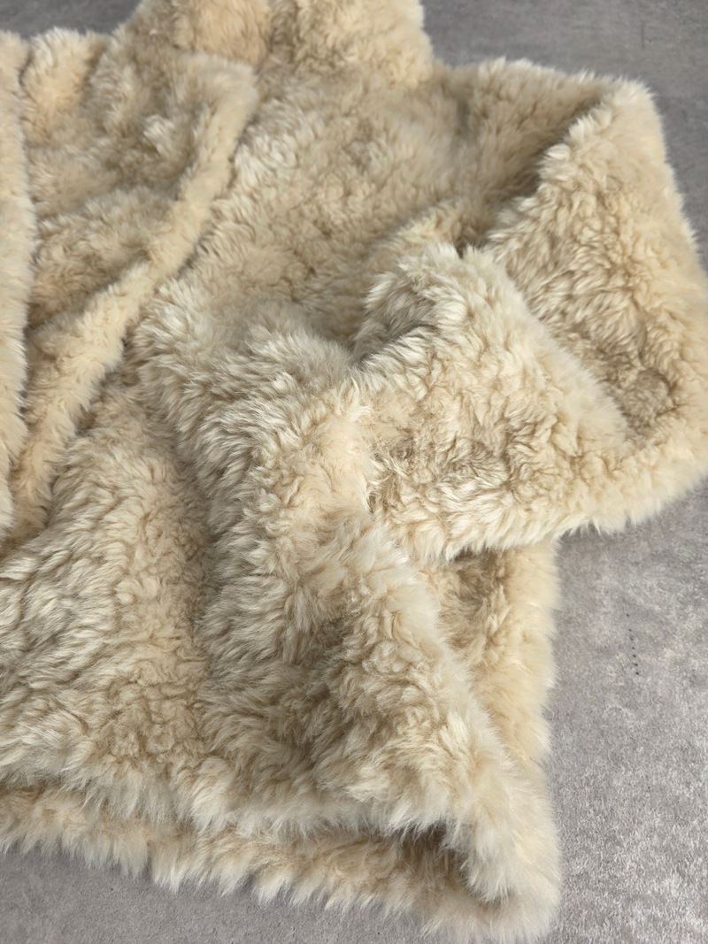 ������ɥͥå����ե���������