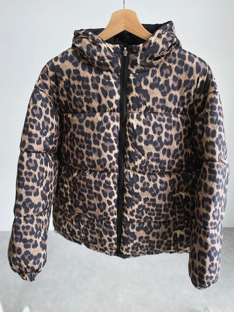 ��ǥ���������С����֥롡�ե����������󡡥��㥱�å�