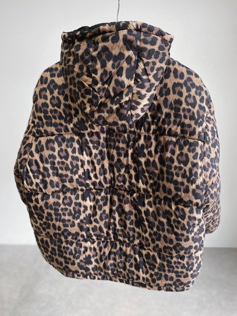 ��ǥ���������С����֥롡�ե����������󡡥��㥱�å�