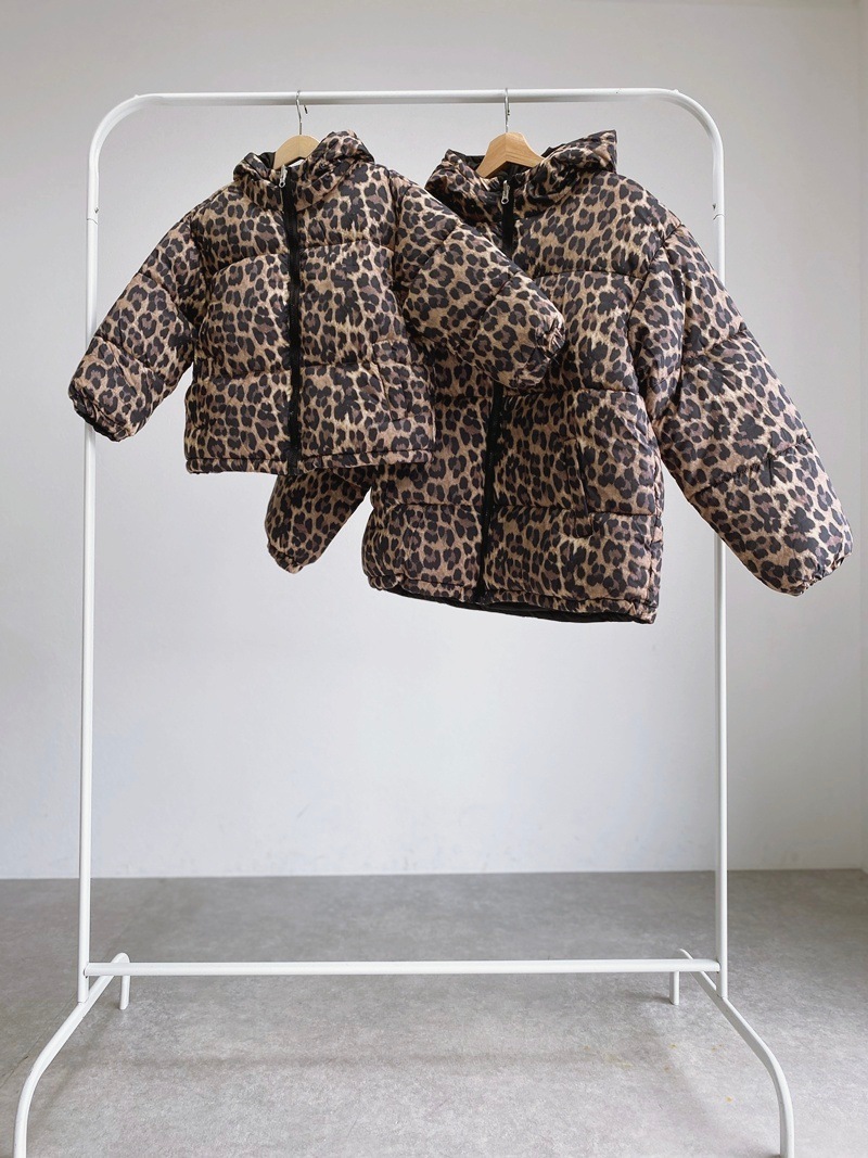 ��ǥ���������С����֥롡�ե����������󡡥��㥱�å�