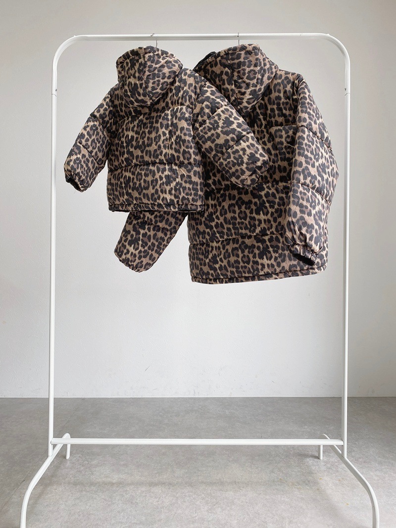 ��ǥ���������С����֥롡�ե����������󡡥��㥱�å�