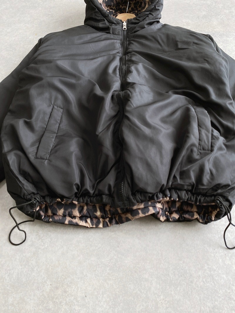 ��ǥ���������С����֥롡�ե����������󡡥��㥱�å�