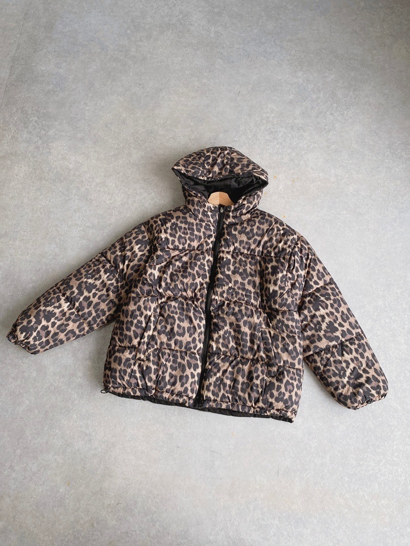 ��ǥ���������С����֥롡�ե����������󡡥��㥱�å�