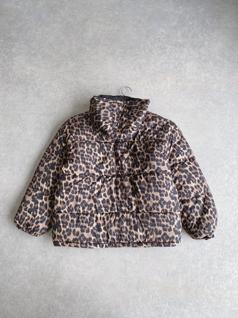 ��ǥ���������С����֥롡�ե����������󡡥��㥱�å�