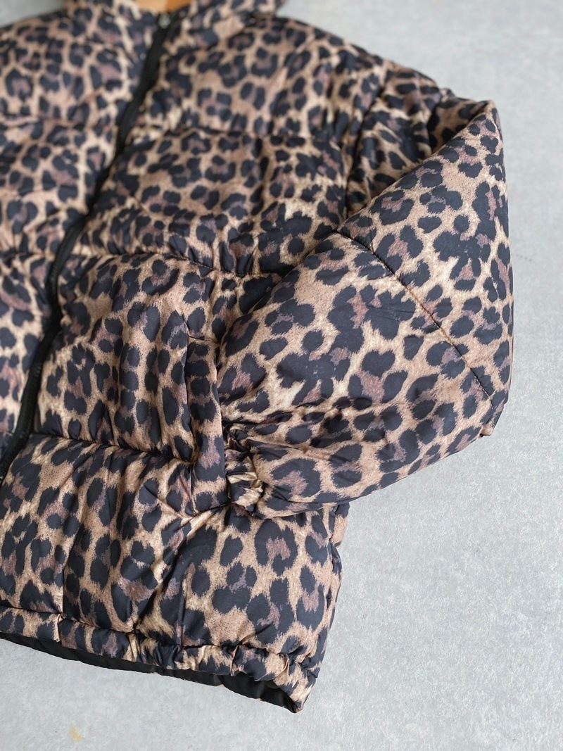 ��ǥ���������С����֥롡�ե����������󡡥��㥱�å�