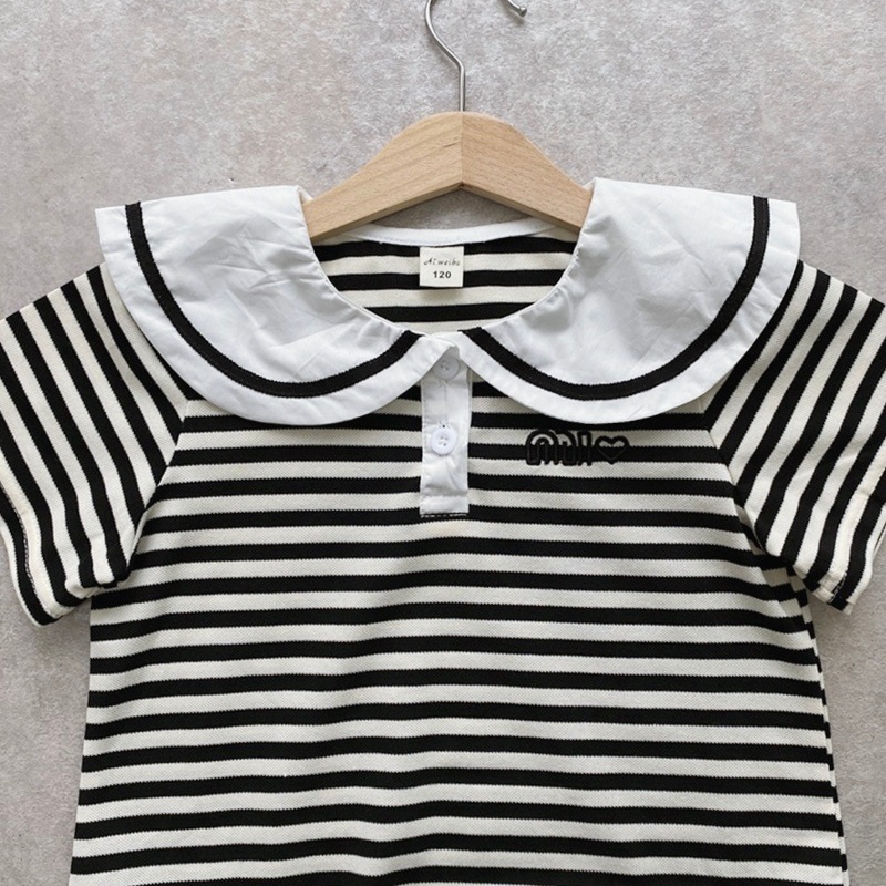 SALEܡߥХ롼󡡥ߥ˥