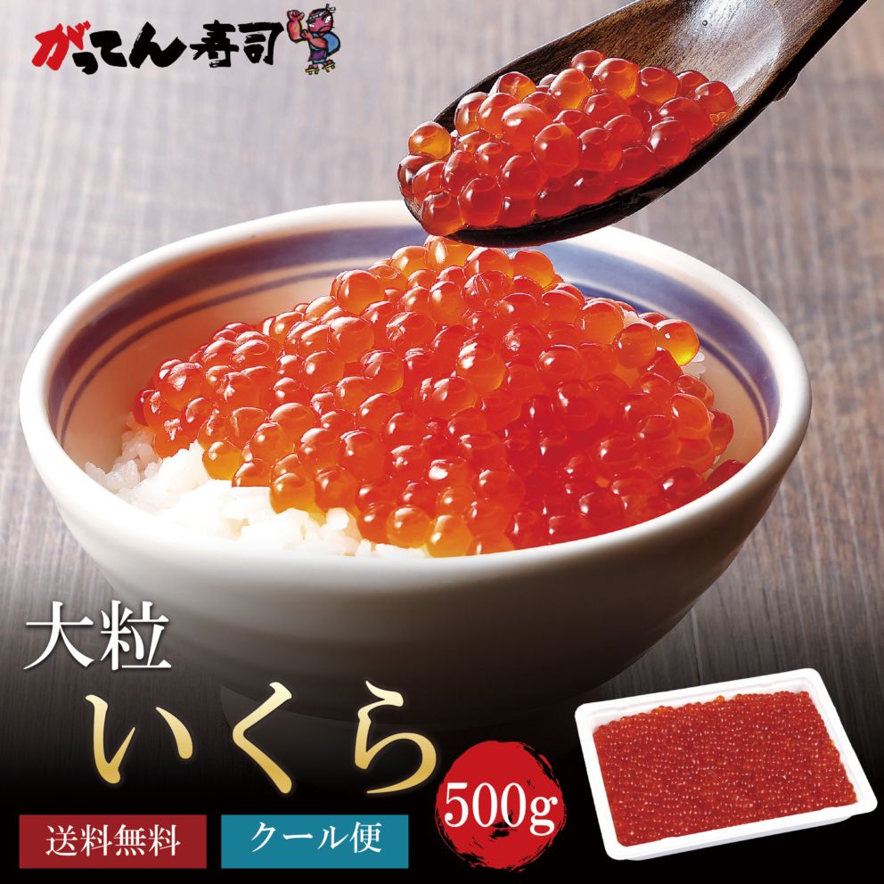 新物 大粒  一番手 鮭  いくら 500g 醤油漬け 本州送料無料 雪国物語 / 北海道産！大粒鮭いくら醤油漬け 500g【送料別】
