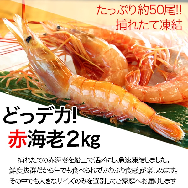 2点まとめ買い エッミト 2 生赤えび2kg〈天然有頭〉 | 海のもの,エビ | がってん承知商店