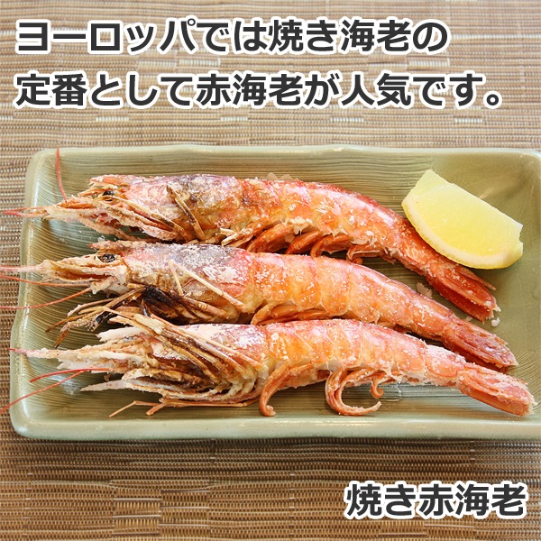 生赤えび2kg〈天然有頭〉 | 海のもの,エビ | がってん承知商店