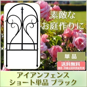 ��������ե��� �ե��˥��� �֥�å� ñ�� ���������ե��� �ȥ�ꥹ �� IPN-7029F ���̳�ƻ��3000��