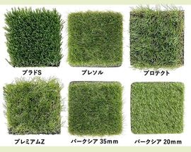 �Υ���ץ�� �͹��ǥѡ�������6�糧�åȡ��������Բġۡڤ�����Ͱ�󡦣����åȸ¤��